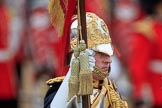 during The Colonel's Review {iptcyear4} (final rehearsal for Trooping the Colour, The Queen's Birthday Parade)  at Horse Guards Parade, Westminster, London, 2 June 2018, 11:58.