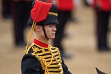 during The Colonel's Review {iptcyear4} (final rehearsal for Trooping the Colour, The Queen's Birthday Parade)  at Horse Guards Parade, Westminster, London, 2 June 2018, 12:01.