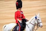 during The Colonel's Review {iptcyear4} (final rehearsal for Trooping the Colour, The Queen's Birthday Parade)  at Horse Guards Parade, Westminster, London, 2 June 2018, 12:11.