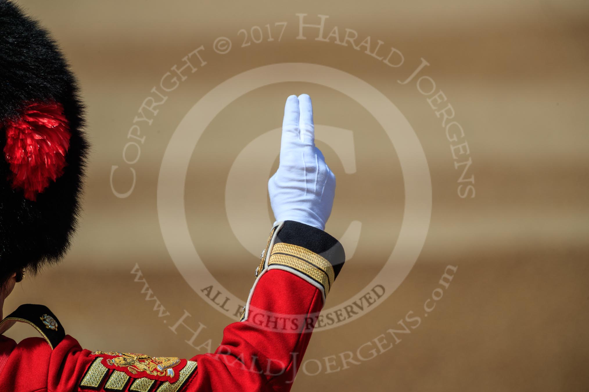during Trooping the Colour {iptcyear4}, The Queen's Birthday Parade at Horse Guards Parade, Westminster, London, 9 June 2018, 10:28.