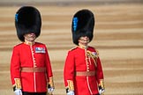 during Trooping the Colour {iptcyear4}, The Queen's Birthday Parade at Horse Guards Parade, Westminster, London, 9 June 2018, 09:56.