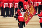 The Duty Drummer Sam Orchard salutes the Colour after removing the case from the Colour held by the Colour Sergeant Sam McAuley (31) during Trooping the Colour 2018, The Queen's Birthday Parade at Horse Guards Parade, Westminster, London, 9 June 2018, 10:33.