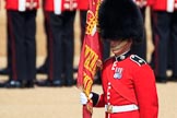The Colour Sergeant Sam McAuley (31) holding the just uncased Colour during Trooping the Colour 2018, The Queen's Birthday Parade at Horse Guards Parade, Westminster, London, 9 June 2018, 10:33.