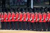 Number Five Guard, Nijmegen Company, Grenadier Guards during Trooping the Colour 2018, The Queen's Birthday Parade at Horse Guards Parade, Westminster, London, 9 June 2018, 10:35.