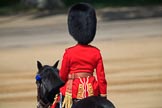 The Parade Adjutant, Captain HC Codrington, Coldstream Guards (30) riding out onto Horse Guards Parade during Trooping the Colour 2018, The Queen's Birthday Parade at Horse Guards Parade, Westminster, London, 9 June 2018, 10:36.