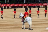 during Trooping the Colour {iptcyear4}, The Queen's Birthday Parade at Horse Guards Parade, Westminster, London, 9 June 2018, 10:41.