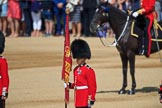during Trooping the Colour {iptcyear4}, The Queen's Birthday Parade at Horse Guards Parade, Westminster, London, 9 June 2018, 10:47.