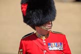 during Trooping the Colour {iptcyear4}, The Queen's Birthday Parade at Horse Guards Parade, Westminster, London, 9 June 2018, 10:51.