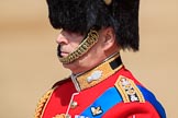 during Trooping the Colour {iptcyear4}, The Queen's Birthday Parade at Horse Guards Parade, Westminster, London, 9 June 2018, 11:00.