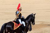 during Trooping the Colour {iptcyear4}, The Queen's Birthday Parade at Horse Guards Parade, Westminster, London, 9 June 2018, 11:58.